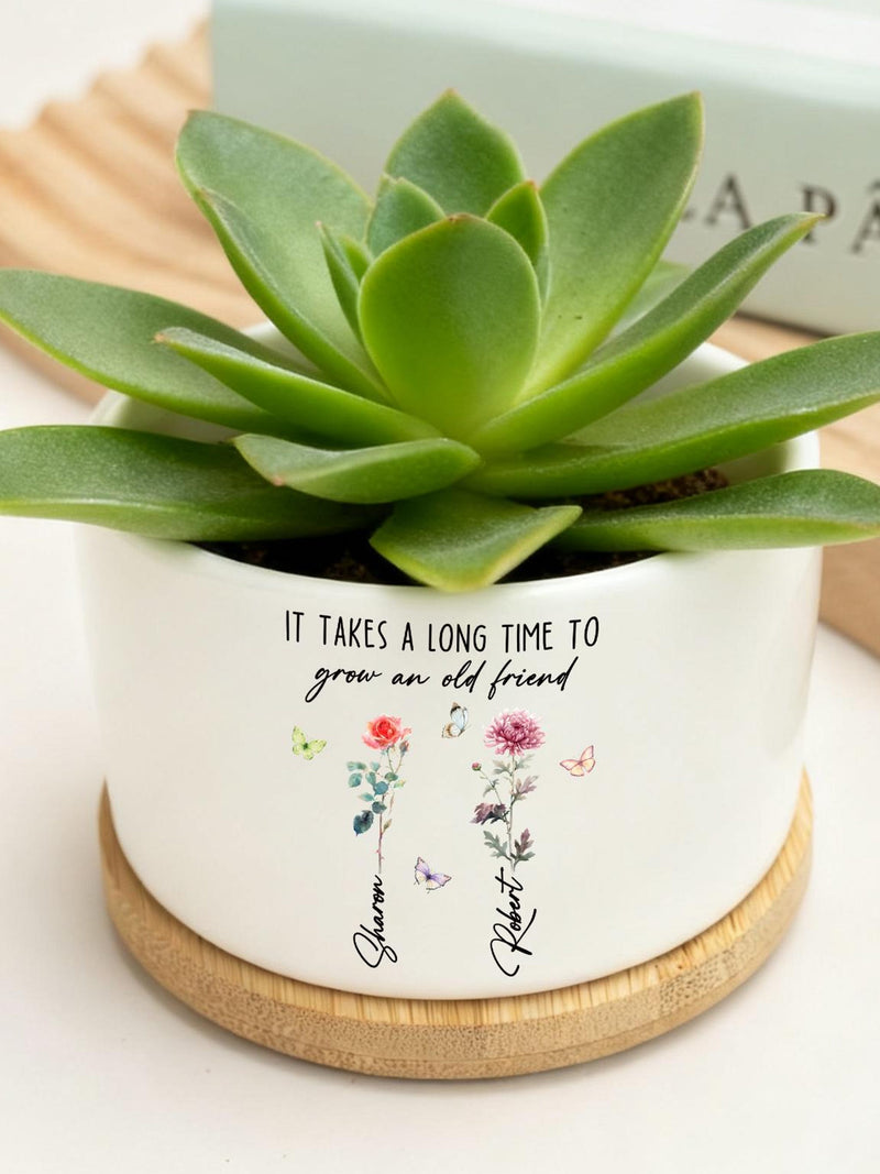 Personalized Friendship Ceramic Mini Plant Pot,It Takes A Long Time To Grow An Old Friend,Friendship Gift,Bestie Gift,Friendship Gift birthday flower