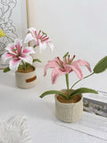 Handmade Crochet Lily Potted Plant: Floral Home Decor Gift birthday flower