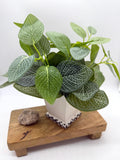 Faux Plants in Square Ceramic Pot, Elegant Artificial Plant, Coffee Table Decor, Greenery for Bathroom Shelf, Realistic Plant in White Vase faux plants