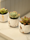 Set of 3 Mini Faux Succulent Plants in Marble Design Pots, Artificial Succulent - Desk Decor, Mini Faux Fake Potted Home Office Decor faux plants