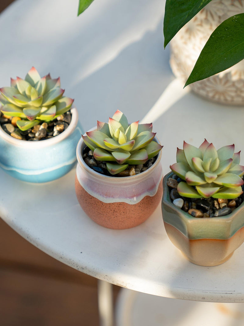 1 Pot Ð Mini Faux Succulent Plant in Glazed Ceramic Pot, Artificial Succulent Desk Decor, Mini Faux Potted Home Office Decor faux plants