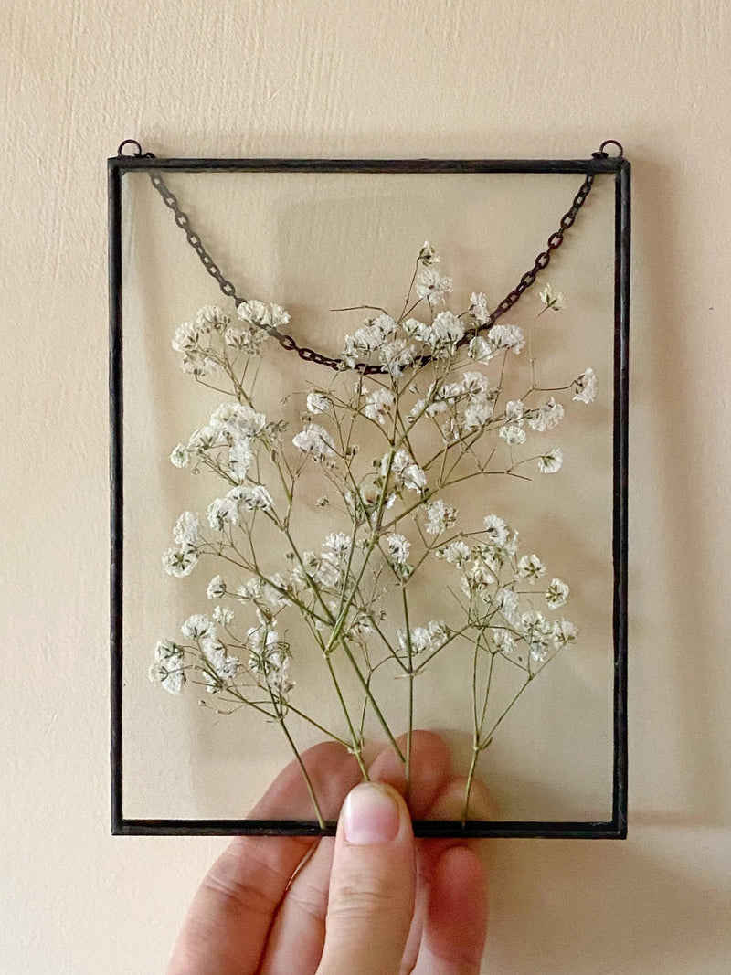 Framed Pressed Baby's Breath Art: Floating Glass Frame sympathy flower