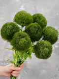 Real Touch Dianthus Green Ball Stem - Artificial Plant faux plants