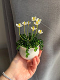 Handmade Beaded Flower Plant Ð Faux Greenery Desk Decor faux plants