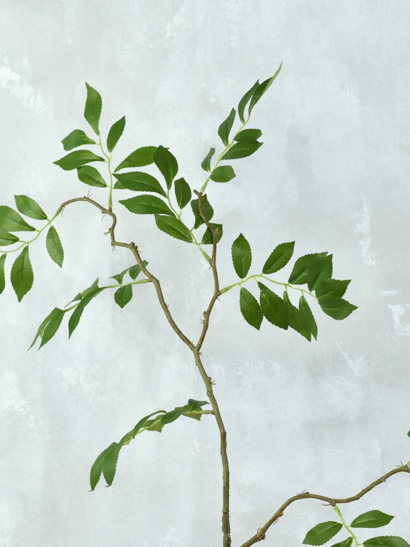 Artificial Wisteria Leaf Stem - High Quality Faux Foliage / Greenery / Wedding / Centerpieces / Vase Arrangement / Home Decor / Gifts / DIY faux plants