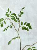 Artificial Wisteria Leaf Stem - High Quality Faux Foliage / Greenery / Wedding / Centerpieces / Vase Arrangement / Home Decor / Gifts / DIY faux plants