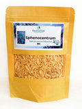 Sphenocentrum jollyanum - Dried crushed root flower spore