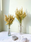 Neutral Dried Flower Bouquet: Solidago bundle, Minimalist Modern Japandi Scandinavian Home Decor house warming flower