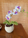 Mothers Day Gift Handmade Moth Orchid Bouquet Vase, Crochet Flower Pot, Gift for Her, Mom, Grandma, Birthday Thank you birthday flower