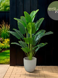 Faux Banana Palm Tree: Realistic Greenery for Home & Garden Decor faux plants