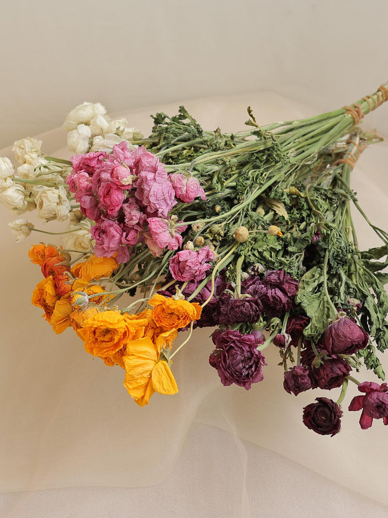Dried Peony Bunch / Ranunculus / Blush Pink and Cream ,Purple, Yellow FLOWER DELIVERY