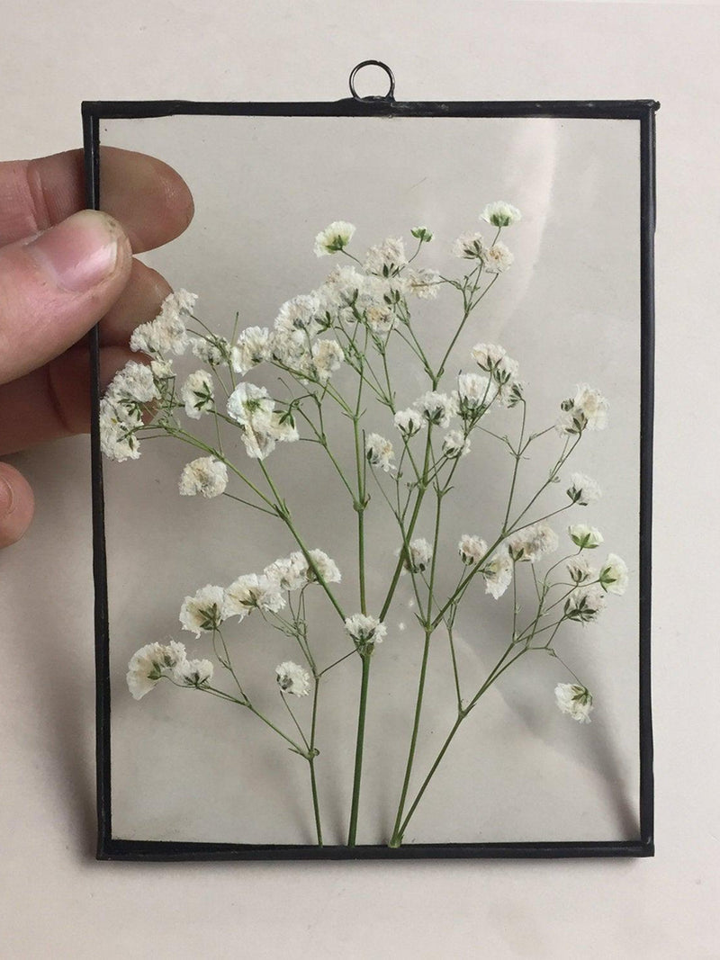 Pressed Flower Frames Ð Botanical Wall Art, Stained Glass Decor sympathy flower