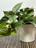 Small Variegated Pothos Faux Silk Plant in White Ceramic Pot, Handmade faux plants