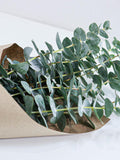 Wholesale Eucalyptus Bundles | Fresh, Dried, and Preserved | For Showers and Bathroom FLOWER DELIVERY