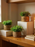 Mini Artificial Plant in Woven Seagrass Pot | Realistic Faux Greenery Desk Decor | Small Potted Fake Plant for Home Office & Shelf Decor faux plants