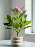 Artificial Azalea Ficus Plant - Realistic Faux Greenery Bush for Home & Office Decor - Modern Fake Foliage - Outdoor Indoor Silk Plant faux plants