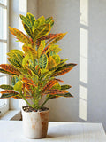 Realistic Artificial Ficus Banyan Tree Branch - Faux Greenery Leaves for DIY Projects & Tall Vases - Modern Home Office Decor - Silk Leaf faux plants