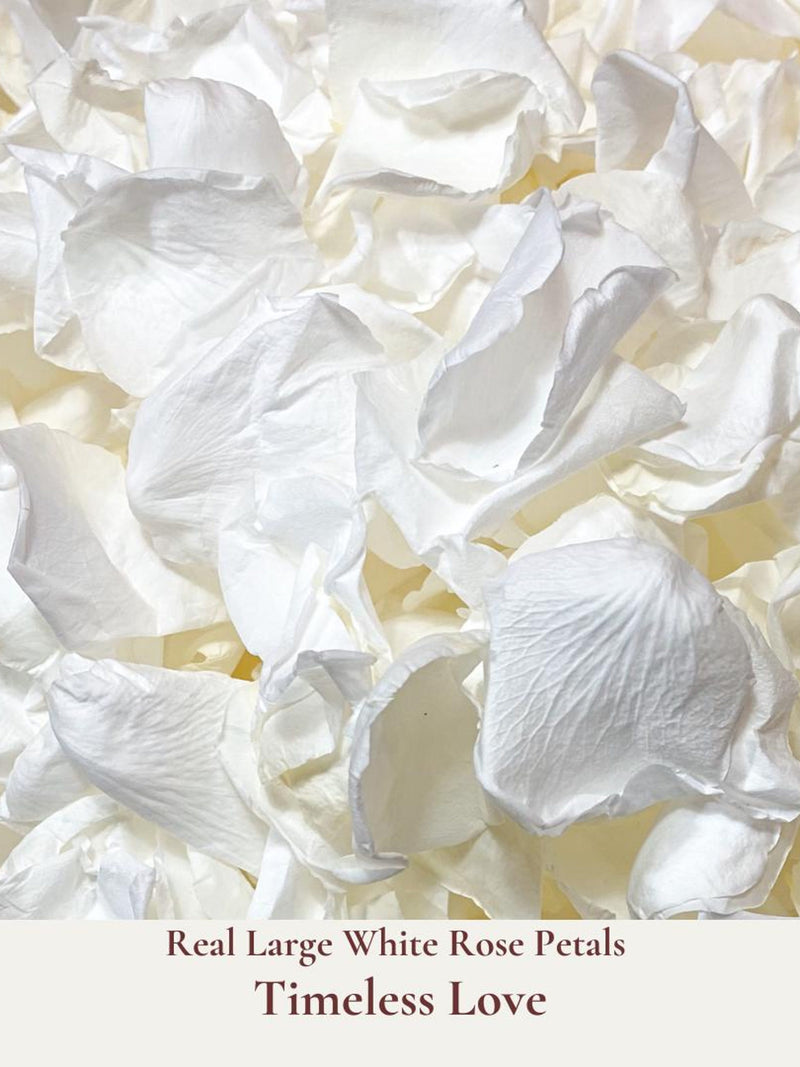 1 Litre Biodegradable Wedding Confetti - White Rose Petals - Dried Flower Confetti - Flower Girl Basket - Aisle Decor - Wedding Decorations wedding flower