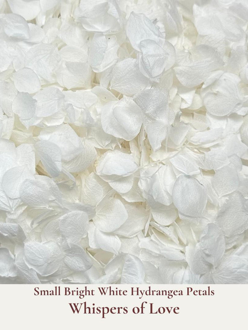 1L Bright White Dried Flower Wedding Confetti - Hydrangea Biodegradable Confetti - Dried Flower Confetti - Flower Girl - Wedding Decorations wedding flower
