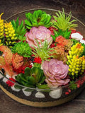 100 Mixed Succulent Seeds | Drought Tolerant Bonsai Varieties seeds bulk