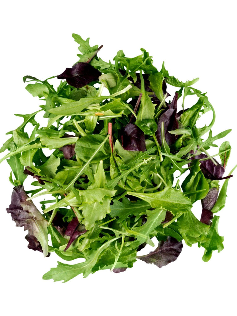 Lettuce Salad Mix Seeds seeds bulk