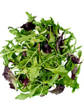 Lettuce Salad Mix Seeds seeds bulk