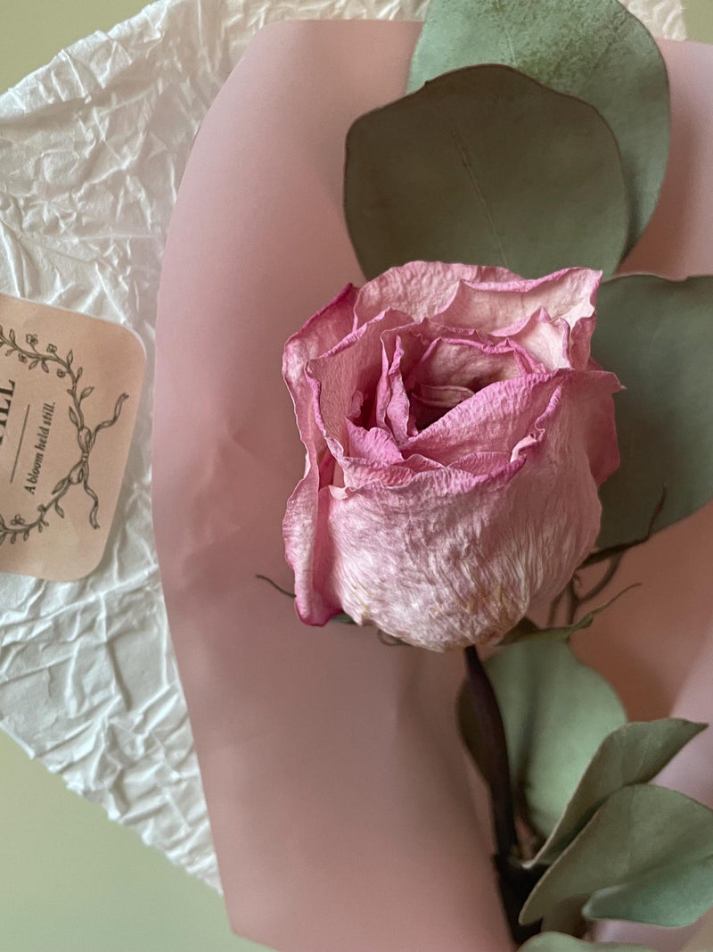 Neutral Dried Flower Bouquet - Pink single Rose; Gift item house warming flower