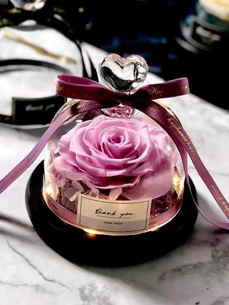 Preserved Rose in Glass Dome ¥ Eternal Flower Gift ¥ Birthday, Anniversary, ValentineÕs, MotherÕs Day ANNIVERSARY