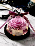 Preserved Rose in Glass Dome ¥ Eternal Flower Gift ¥ Birthday, Anniversary, ValentineÕs, MotherÕs Day ANNIVERSARY