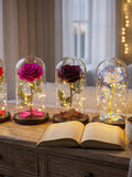 Enchanted Red Rose in Glass Dome LED Light Gift for Her Anniversary Valentine's Day ANNIVERSARY