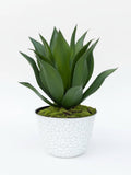 Faux Agave Plant in Pot: UV Rated Outdoor Planter, Artificial Plant faux plants