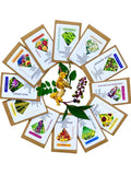 Complete Natural Dye Garden Seed Pack, Jumbo Pack 12 Types Natural Dye Plant Seeds, Botanical Dye Seeds, Grow your own Natural Dye Garden flower seeds