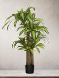 Artificial Dracaena Tree, Tall Indoor Fake Plant with Realistic Trunk, Leaves, Fruits and Planter, Faux Potted Tree for Home Decor Bedroom faux plants