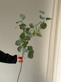 Real touch Green Purple eucalyptus Branch, fake eucalyptus stem for DIY eucalyptus garland, eucalyptus arrangement, Spring Home Decor faux plants