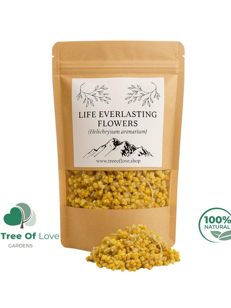 Life Everlasting Flowers - Dried  (Helichrysum stoechas) FLOWER DELIVERY