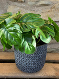 Artificial Monstera (Large) Bunch With Or Without Pot faux plants
