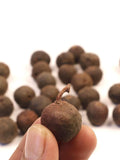 Bulk Natural Rudraksha Seeds With Shell, Nepalese Rudraksha Straight From The Tree, Price Per Pound seeds bulk