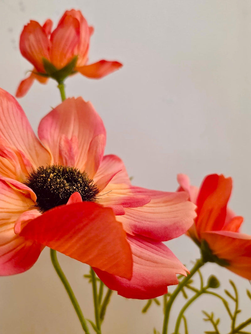 Anemone Flower, Faux Real Touch Flower, Wedding Flower Decoration, Filler Flower, Floral Arrangements, Poppy, Daisy Flower. flower spore