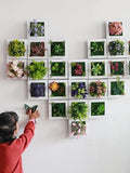 Artificial Flower Plant Wall Hanging Decoration,Fake Succulent Plants Hotel,Restaurant,Bar,Wall Decor faux plants