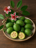 30 Feijoa (Acca sellowiana) Seeds in Bulk - Exotic Fruit Bush for Garden and Hedge - Edible Flowers and Fruit seeds bulk