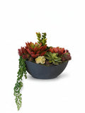 Faux succulent planter ,  tabletop succulent arrangement, potted faux plant, container gardens, faux succulents faux plants