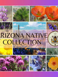 NEW! Arizona Native Seed Collection, 2,000+ Seeds, Gift Box, 18 Individual packs, Free Shipping seeds bulk