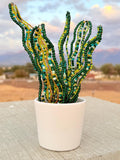 Beaded Snake Plant faux plants