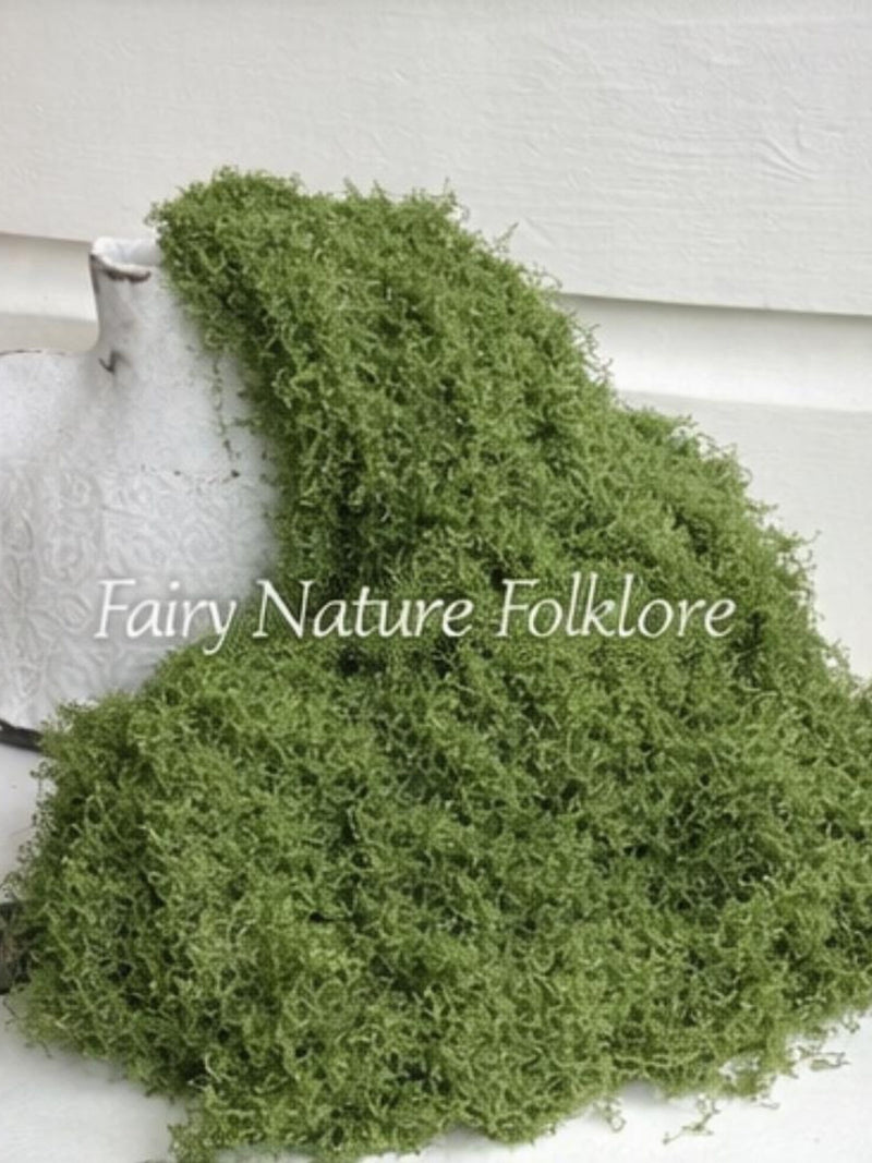 Realistic Faux Moss |Colorfast Tested-  No Staining to Linens/Surfaces|Color and Strand Loop Ratio Customized by Our Shop/Real Moss Look faux plants
