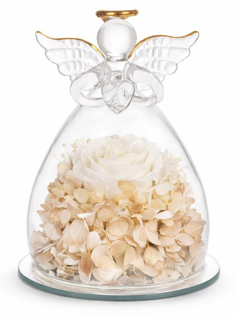 Angel Preserved White Rose Glass Dome, Sympathy Memorial Gift sympathy flower
