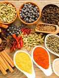 Mystery Seeds Pack | Surprise Garden Variety seeds bulk