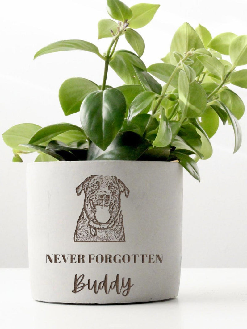 Personalized Dog Memorial Engraved Planter Pot, Dog Owner Condolence Gift, Pet Remembrance Gift, Loss Of Pet Sympathy Planter sympathy flower