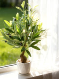 Faux Olive Tree, Tall Potted Artificial Plant, Home Decor faux plants