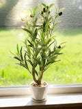 Miniature Artificial Olive Tree: 24-inch Silk Plant faux plants