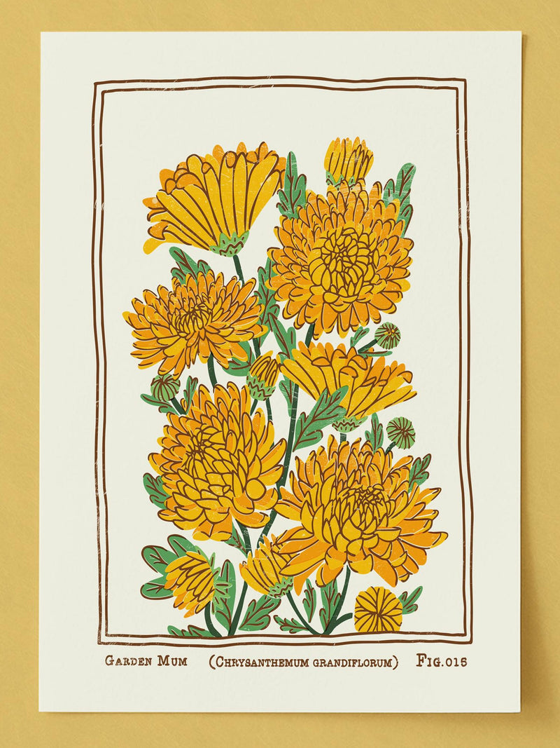 Vintage Style Garden Mums Art Print: November Birth Flower Poster birthday flower